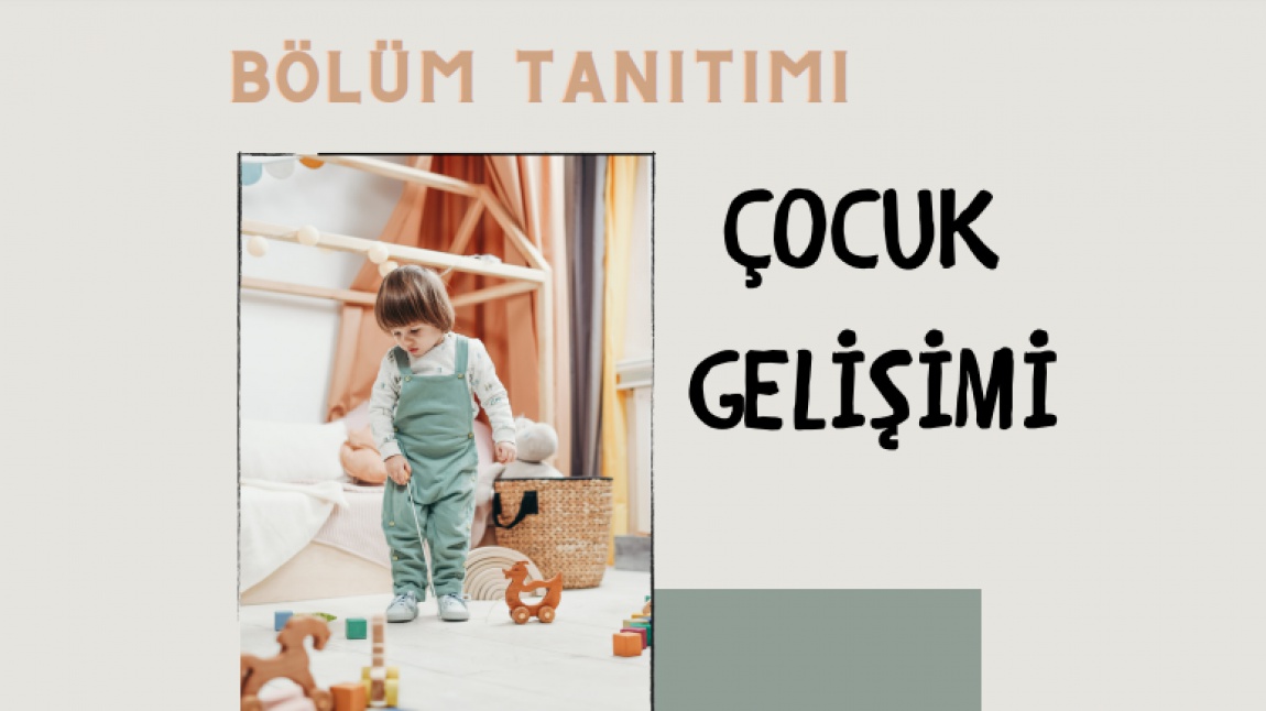 Çocuk Gelişimi ve Eğitimi Bölümü