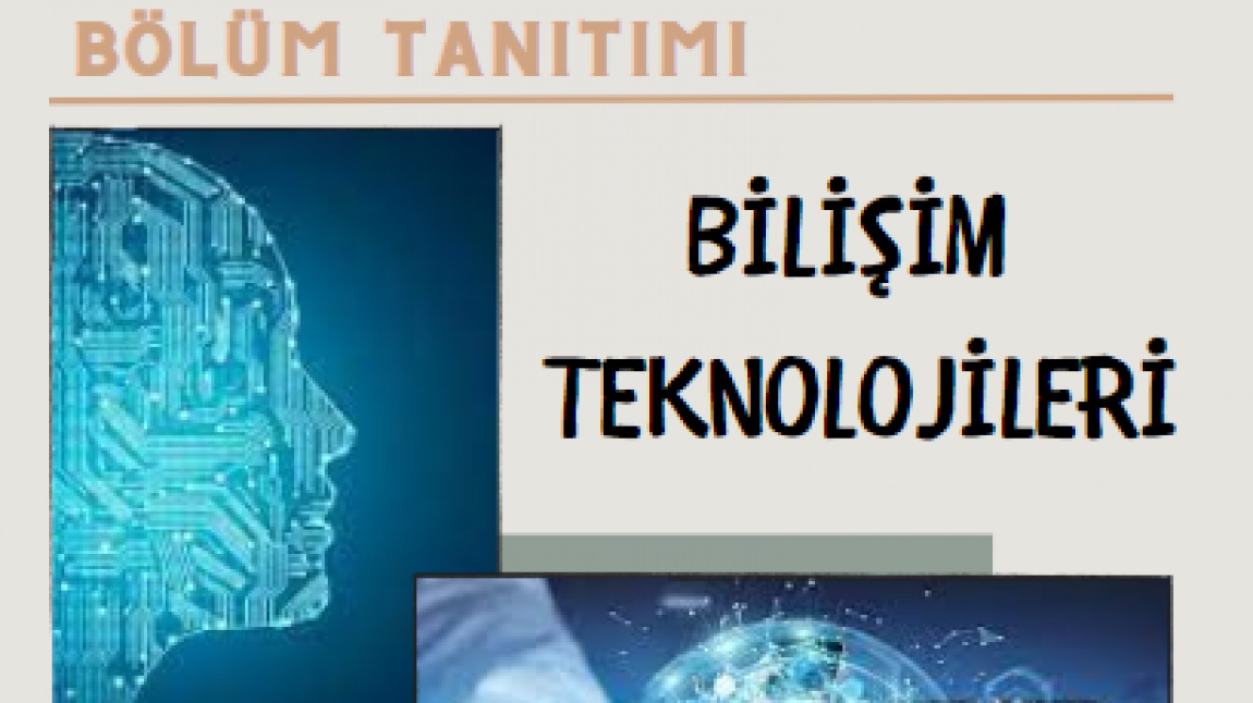 BİLİŞİM TEKNOLOJİLERİ ALAN TANITIMI